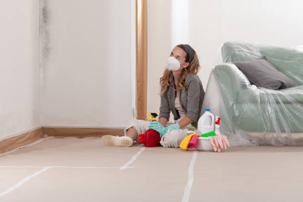 Reliable Mold Inspection contractor in Holmdel, NJ by WQB Mold Removal